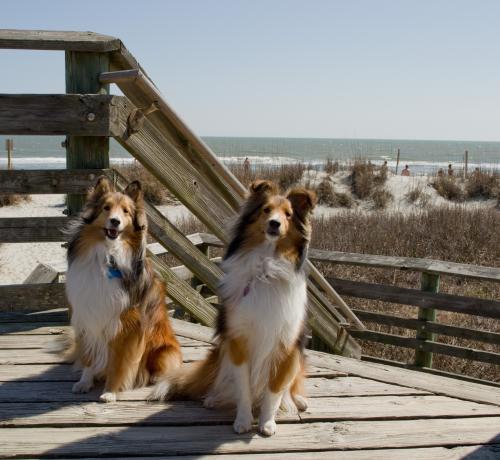 L & B beach