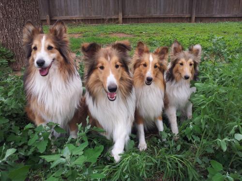 (L to R) F-kap, Jody, Sarah, Ida