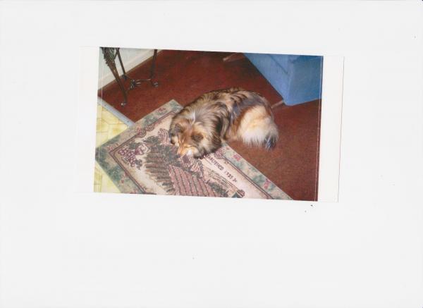 Lady sleeping