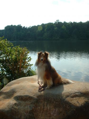 lake2