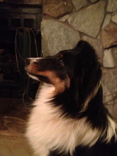 Leeway's Boudreaux Classic Joe