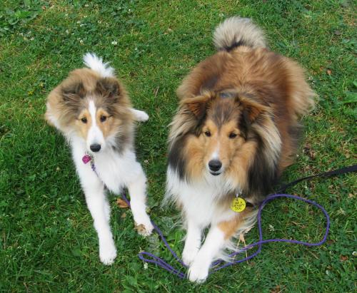 Lexi and Pyper