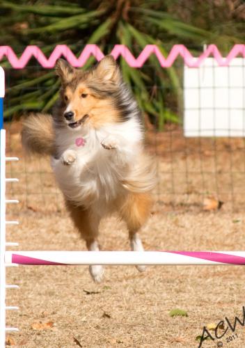 Lexi jump
