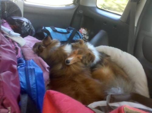 Lexi loooooves her brother!