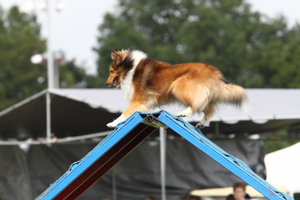 Lexi

(photo by Mike Lifer Photography)