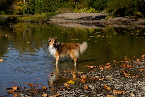 Lexi posing