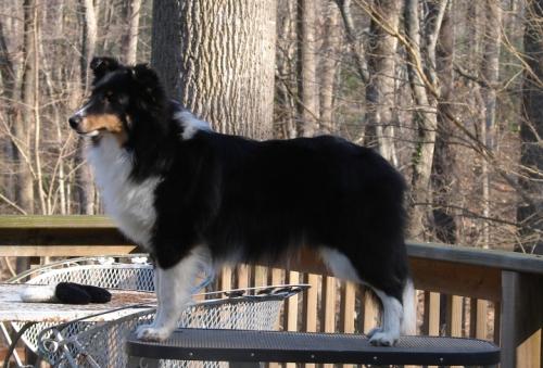 Liesl at 7 months