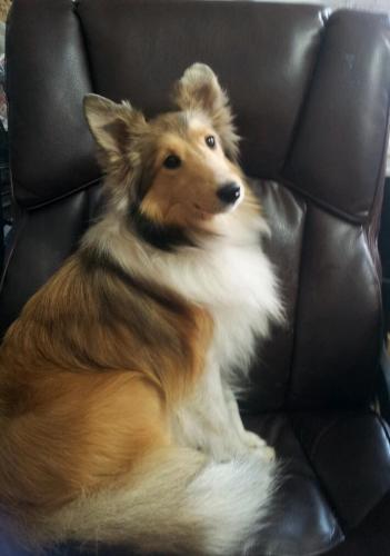 Little Miss Ida Red all grown up
