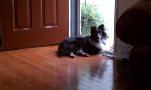 Logan sunning himself