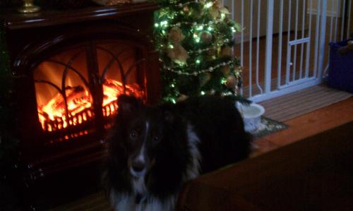Logan's 2nd Christmas