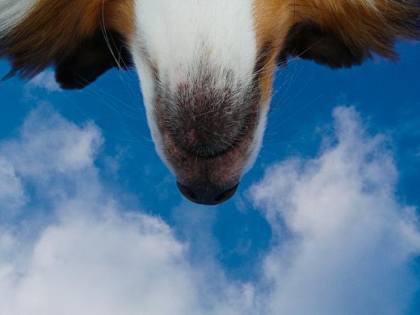 lookingup