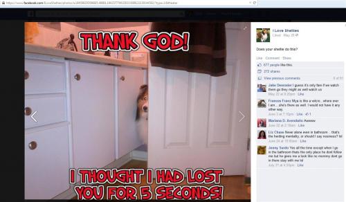 Looks like someone took my photo and made a meme of it and put it on Facebook!