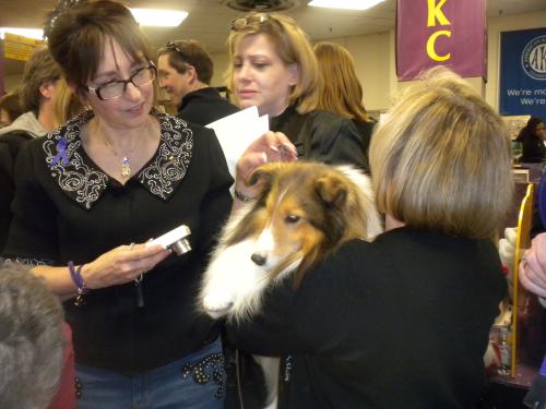 lots of Annie admirers :)