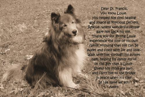 Louie (2)