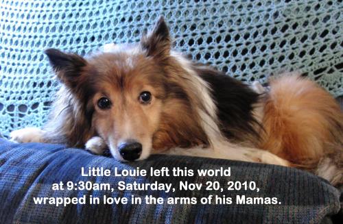 Louie last day