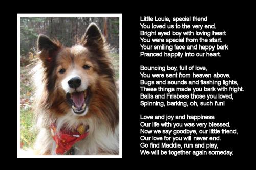 Louie memorial