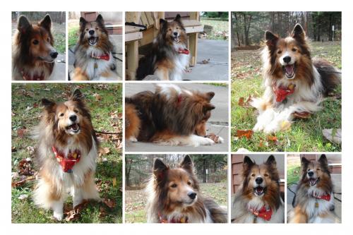 Louies October vacation