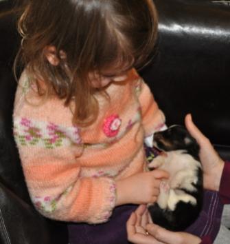 love my belly rub two weeks