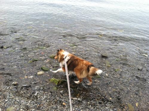 Lucy discovers the ocean