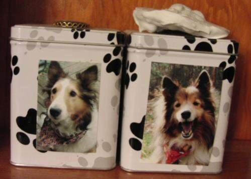 Maddie and Louie's Ashes