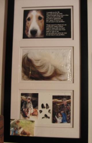 Maddie's frame