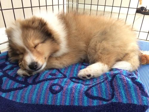 McGee at 10 weeks