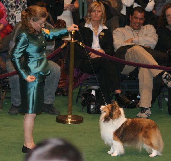 Megan and Annie, at the The Westminster Kennel Club Dog Show, where she was awarded Best of Opposite Sex 2007, and 2008