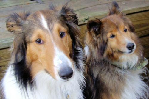 Meggie and Louie