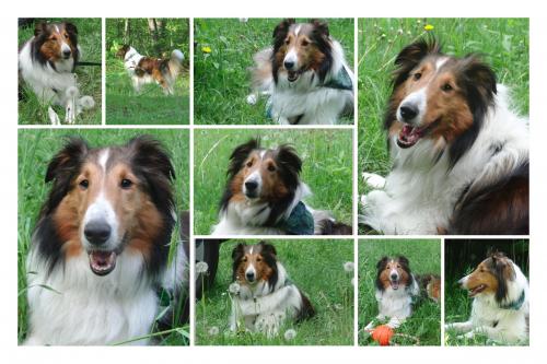 Meggie camp June2011
