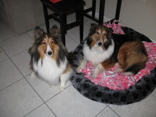Meggie with her new big sister!