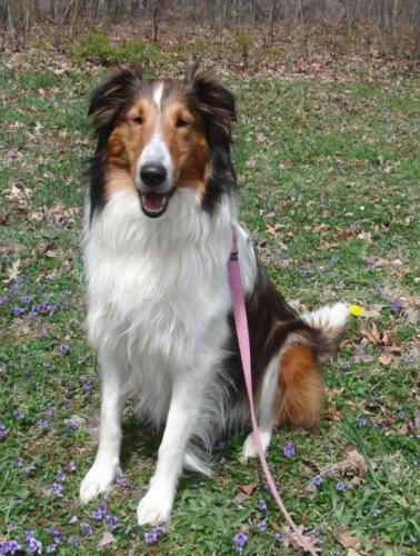 Meggie