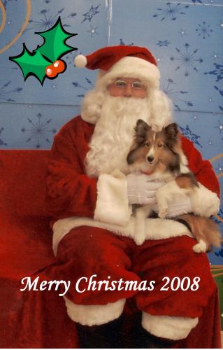 Meggie's first trip to see Santa.  She was such a good little girl among all the other crazy dogs.  Santa said she was the only one on the "Nice" list