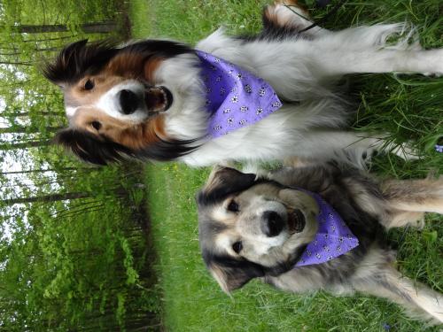 Misty and Meggie