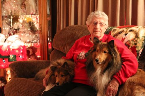 Momma with the Shelties