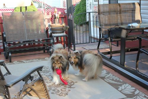 more play