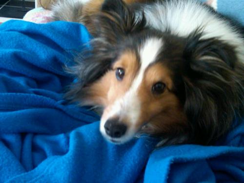 Murphy shows that look that just melts your heart.