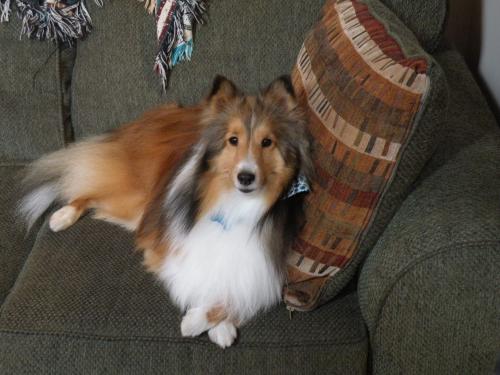 My handsome boy!