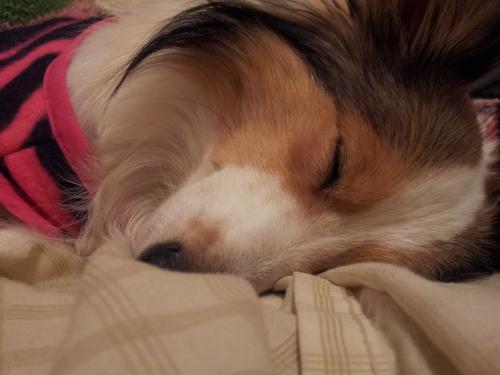 My little angel