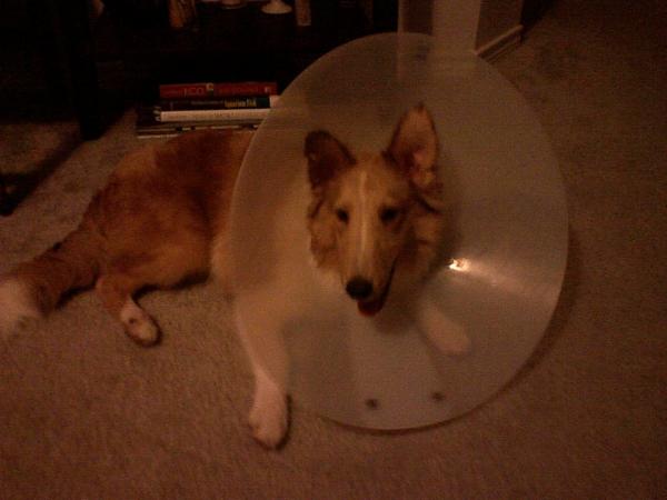 My little Direct TV Dish.