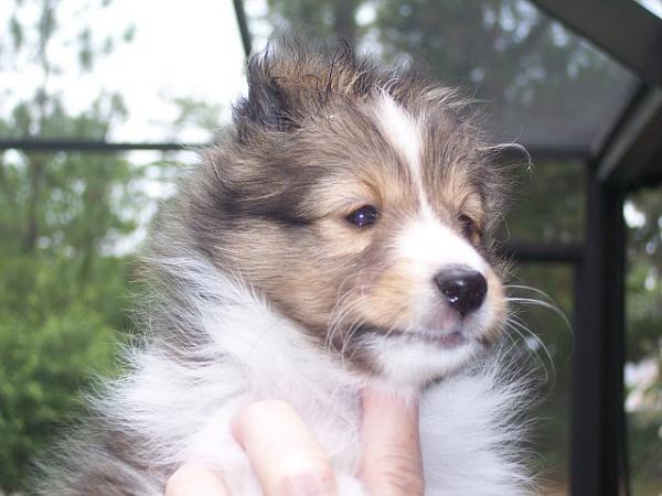My Little Peanut - Meggie 6 wks