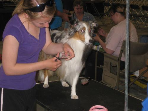 Nail trimming 101