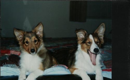Nakota & Cheyenne