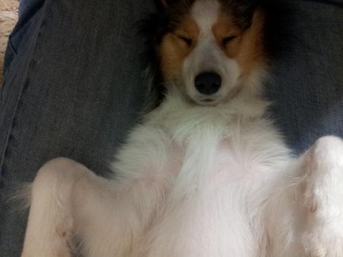 Nothings better than a long nap in Mommy's lap