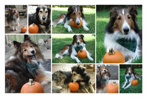 October(1) 01