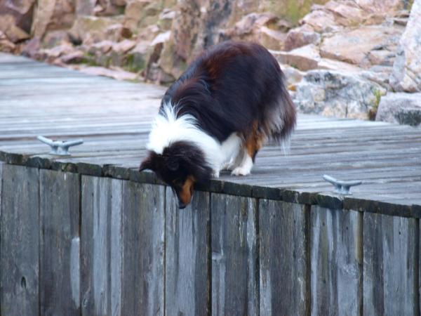 OK!  I'm going for it...1-2-3...holding my breath!