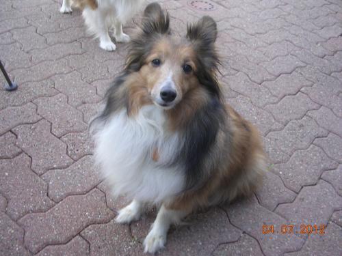 OK.... Just give me the treat!