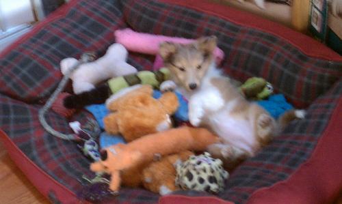 OMG! This is more fun than a ball pit!