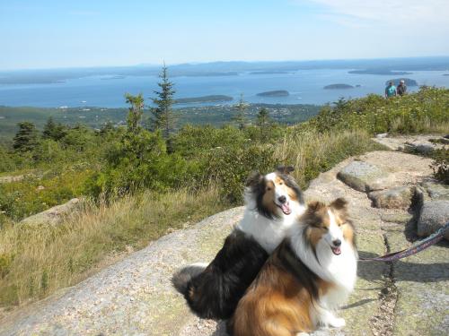 On the trail around the top of Cadillac Mountain