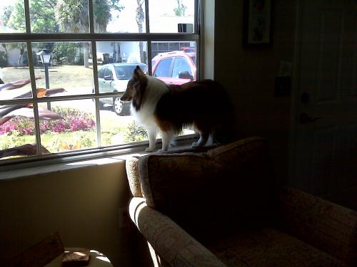 On window sill