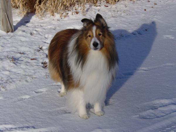 One of my favorite pictures of my beautiful Trevor.
